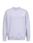 Everlast Crew Sweat Grey Everlast