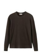 Fine Rib-Knit Cotton Sweater Brown Mango