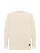 Andysi Structure + Cream SIGNAL