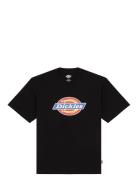 Dickies Icon Ss Tee Black Dickies