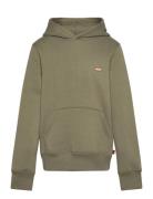 Levi's® Mini Batwing Pullover Hoodie Green Levi's
