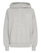 Basavona Hoodie Grey BALL