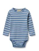 Body L/S Berti Blue Wheat