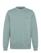 M Oakport Sweatshirt Green Dickies
