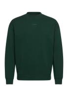 Dapocrew Green HUGO