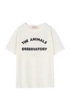 Big Rooster Kid T-Shirt White Logo 14Y White THE ANIMALS OBSERVATORY