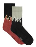 Norman Black Molo