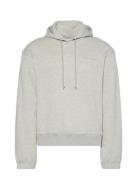 L/S Hoodie Grey Calvin Klein