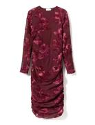 Lavinia L/S Dress Burgundy Noella
