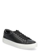 Maeaton Black Matinique