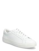 Maeaton White Matinique