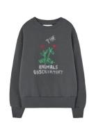 Flowers Dark Frey Bear Sweatshirt Grey THE ANIMALS OBSERVATORY