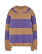 Stripes Beife Boxfish Sweater Beige THE ANIMALS OBSERVATORY