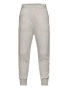 Frey Draco Sweatpants Grey THE ANIMALS OBSERVATORY