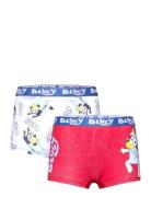 Boxer Patterned Bluey