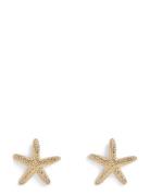 Pcannelina Earrings Bundle Pp Gold Pieces