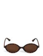 Pcgyrna Sunglass Bundle Bc Brown Pieces