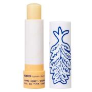 Korres Thyme Honey Lip Balm 4,5g