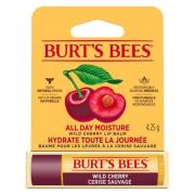 Burts Bees Lip Balm Wild Cherry Blister 4,25 g