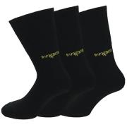 Avignon Liner Wool 3-Pack Basic Black