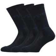 Avignon Terry Wool 3-Pack Basic Black