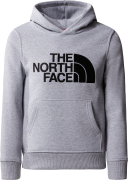 The North Face Boys' Drew Peak Pullover Hoodie TNF Light Grey Heather