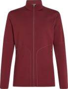 Icebreaker Men's Merino 560 Realfleece Elemental II Longsleeve Zip Por...