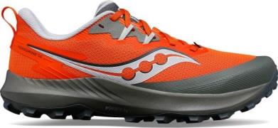 Saucony Men's Peregrine 14 Bough