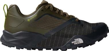 The North Face Men's Offtrail TR GORE-TEX Running Shoes New Taupe Gree...