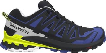 Salomon Men's Shoes Xa Pro 3d V9 GORE-TEX