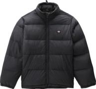 Dickies Men's Waldenburg Jacket BLACK