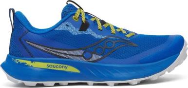 Saucony Men's Peregrine 15 Skydiver/pickle