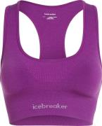 Icebreaker Women's Merino Seamless Active Bra Passion