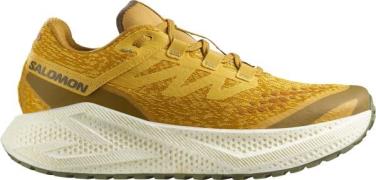 Salomon Men's Aero Glide 3 Grvl Spicy Mustard/vanilla Ice/deep Lich