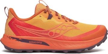 Saucony Men's Peregrine 15 Autumn/amber