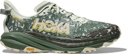 Hoka Men's Speedgoat 6 GORE-TEX Sea Glass/Fern