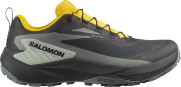 Salomon Men's Genesis GORE-TEX Black / Sedona Sage / Incaberry