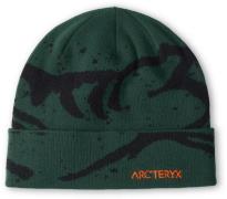 Arc'teryx Grotto Toque Eden/Black