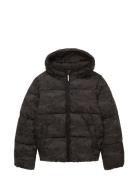 Puffer Winter Jacket With Hood Toppatakki Black Tom Tailor
