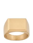 Cole Signet Ring Matt Gold Sormus Korut Gold Edblad