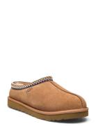 M Tasman Aamutossut Tohvelit Brown UGG