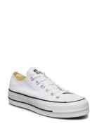 Chuck Taylor All Star Lift Matalavartiset Sneakerit Tennarit White Con...