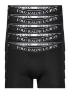 Bci Cotton/Elastane-5Pk-Trn Bokserit Black Polo Ralph Lauren Underwear