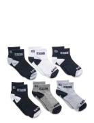 6Q-6Pk Quarter Sock Sukat Multi/patterned Levi's