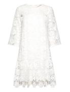 Laura Dress Polvipituinen Mekko White A-View