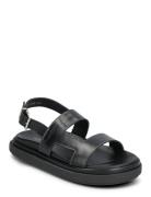Lorelei Tan Leather Sandals Matalapohjaiset Sandaalit Black ALOHAS