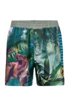 Swimming Shorts Uimashortsit Multi/patterned Jurassic World