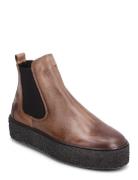 Shallow Ii W Shoes Boots Ankle Boots Ankle Boots Flat Heel Brown Sneak...
