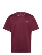 Bl Mesh T Q3 Sport T-shirts Short-sleeved Burgundy Adidas Sportswear