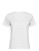 Elba Ss Tee Gots Tops T-shirts & Tops Short-sleeved White Basic Appare...